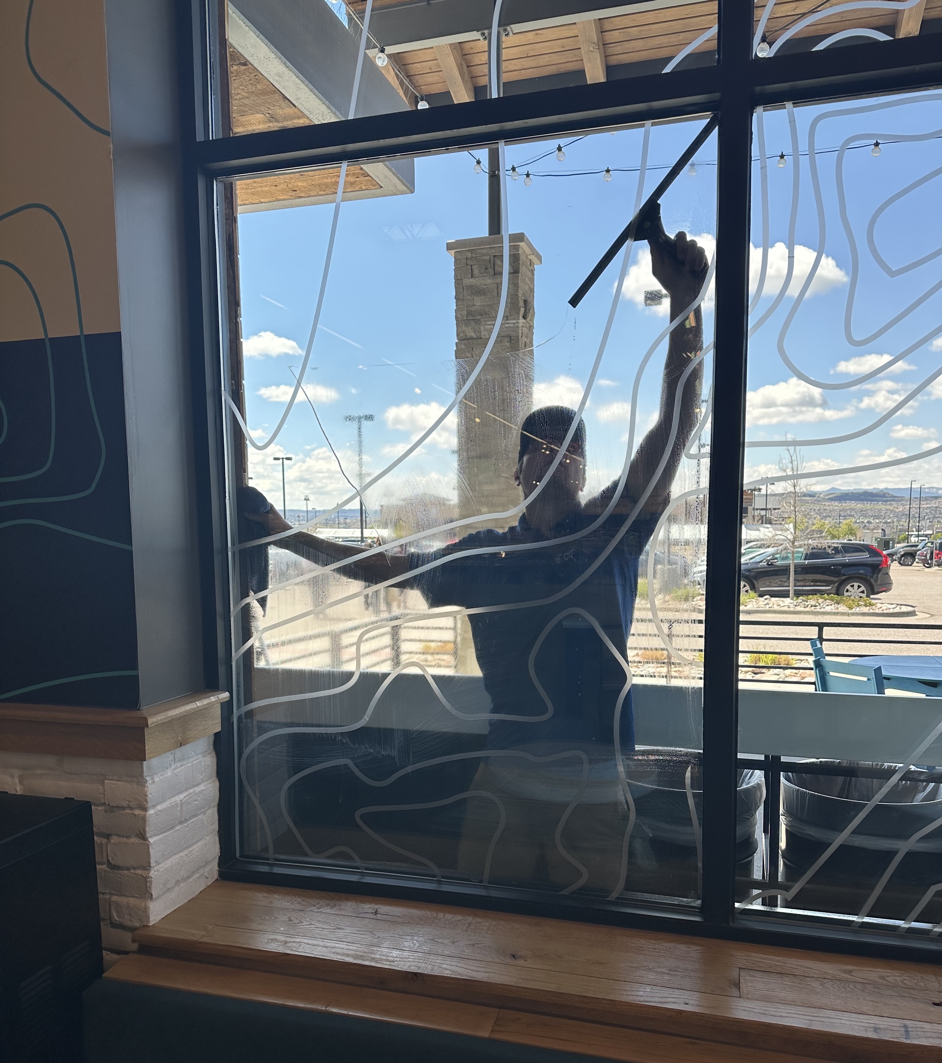 Professional window cleaning service